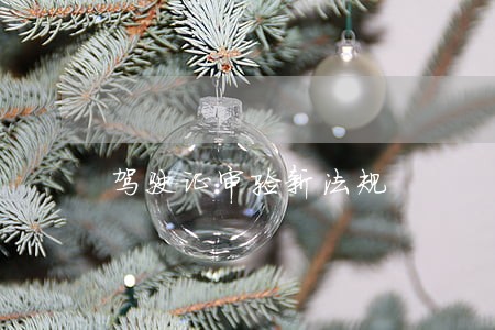 驾驶证审验新法规 驾驶证审验新法规
