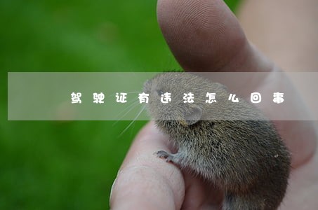驾驶证有违法怎么回事 驾驶证有违法怎么回事
