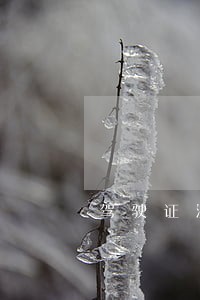 驾驶证注销后驾照违法记录还在哪