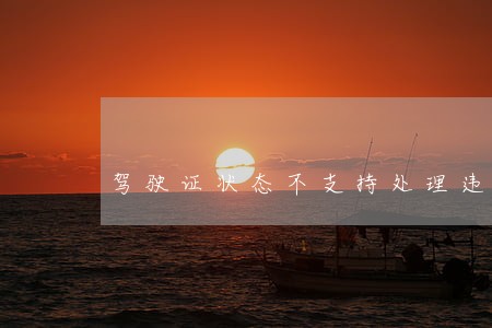 驾驶证状态不支持处理违法 驾驶证状态不支持处理违法