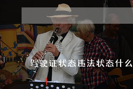 驾驶证状态违法状态什么意思