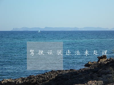 驾驶证状违法未处理