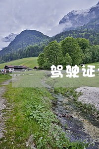 驾驶证记录有违法记分 驾驶证记录有违法记分