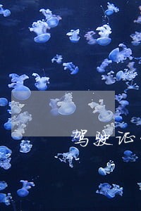 驾驶证贷款购车逾期能换证吗