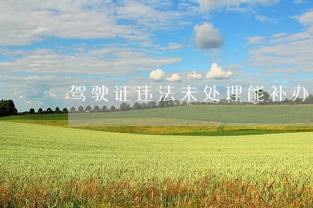 驾驶证违法未处理能补办吗 驾驶证违法未处理能补办吗