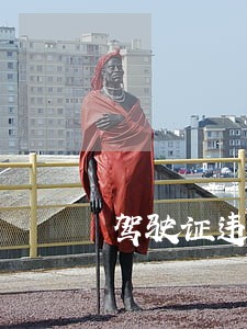 驾驶证违法查询手机版