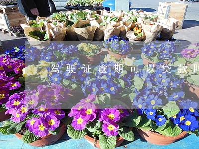 驾驶证逾期可以贷款吗 驾驶证逾期可以贷款吗