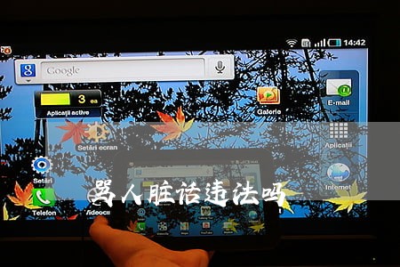 骂人脏话违法吗