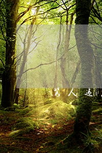 骂人违反了行政法规吗 骂人违反了行政法规吗