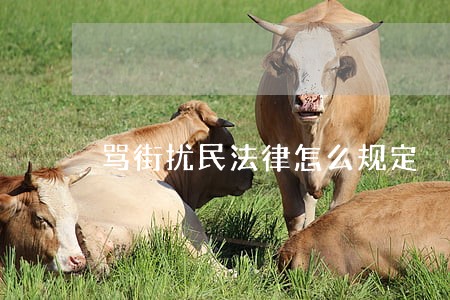 骂街扰民法律怎么规定 骂街扰民法律怎么规定