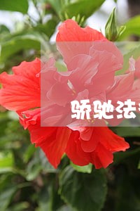 骄驰法律咨询