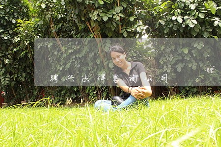 骋兴法律咨询公司 骋兴法律咨询公司