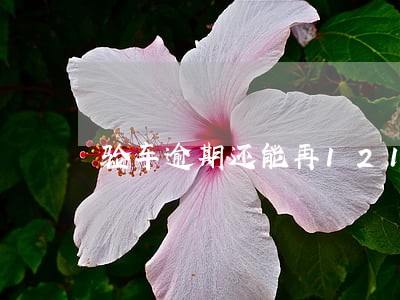 验车逾期还能再12123办理吗 验车逾期还能再12123办理吗