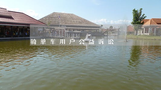 骑单车用户公益诉讼 骑单车用户公益诉讼