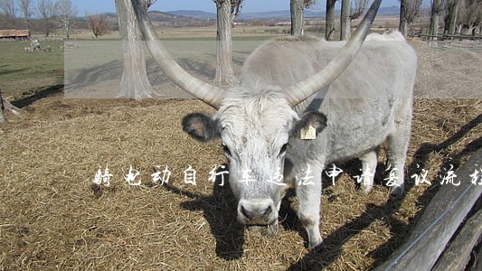 骑电动自行车违法申请复议流程 骑电动自行车违法申请复议流程