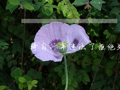 骑自行车违法了拒绝处罚 骑自行车违法了拒绝处罚