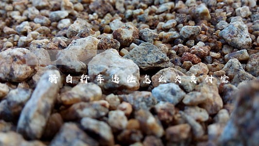 骑自行车违法怎么交支付宝 骑自行车违法怎么交支付宝