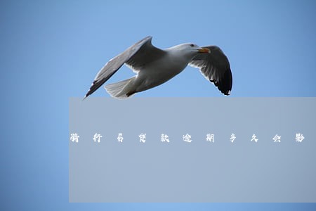 骑行易贷款逾期多久会影响征信 骑行易贷款逾期多久会影响征信