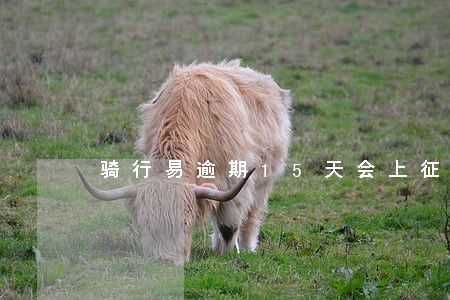 骑行易逾期15天会上征信吗 骑行易逾期15天会上征信吗