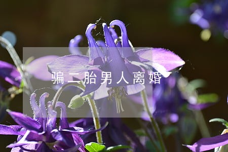 骗二胎男人离婚 骗二胎男人离婚