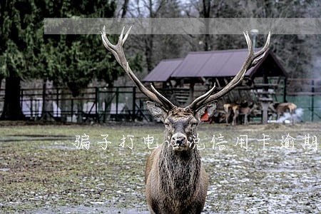 骗子打电话说信用卡逾期套路 骗子打电话说信用卡逾期套路