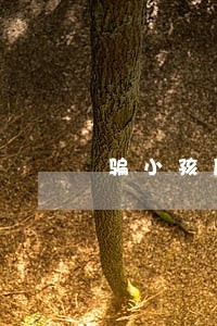 骗小孩压岁钱属于诈骗罪吗 骗小孩压岁钱属于诈骗罪吗