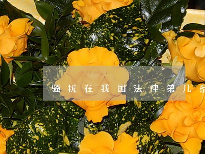 骚扰在我国法律第几条 骚扰在我国法律第几条