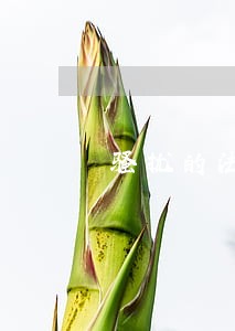 骚扰的法律法规 骚扰的法律法规