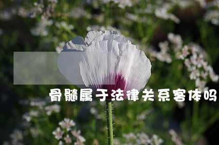 骨髓属于法律关系客体吗