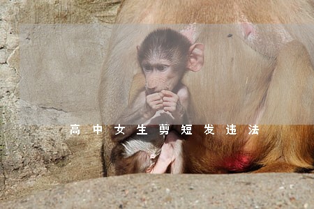 高中女生剪短发违法 高中女生剪短发违法