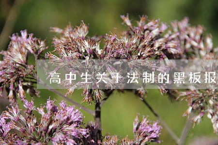 高中生关于法制的黑板报版面设计