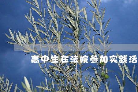 高中生在法院参加实践活动 高中生在法院参加实践活动