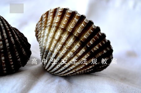 高中生安全法规教案 高中生安全法规教案