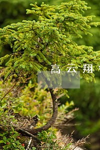 高云翔律师发现新证据 高云翔律师发现新证据