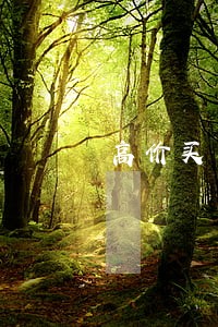高价买手机号违法吗 高价买手机号违法吗