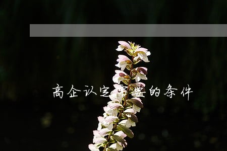 高企认定需要的条件 高企认定需要的条件