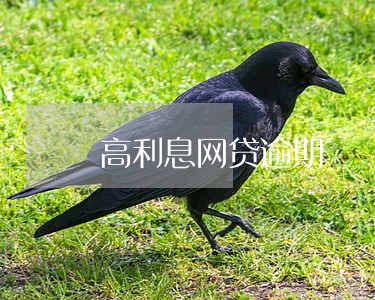 高利息网贷逾期 高利息网贷逾期