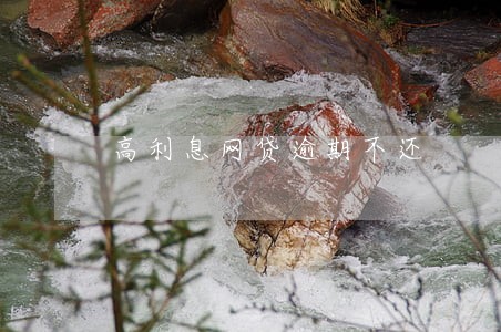 高利息网贷逾期不还 高利息网贷逾期不还