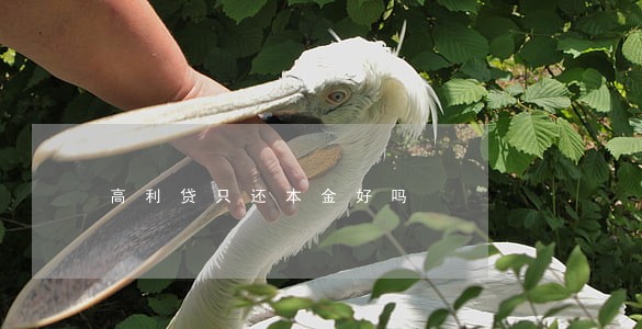 高利贷只还本金好吗 高利贷只还本金好吗