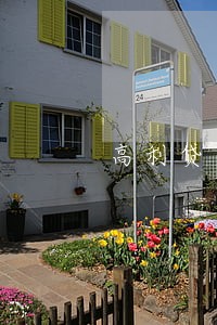高利贷可以协商只还本金吗 高利贷可以协商只还本金吗