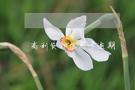 高利贷和信用卡逾期