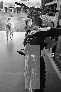 高利贷欠条法律效应 高利贷欠条法律效应