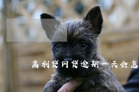 高利贷网贷逾期一天会怎样 高利贷网贷逾期一天会怎样