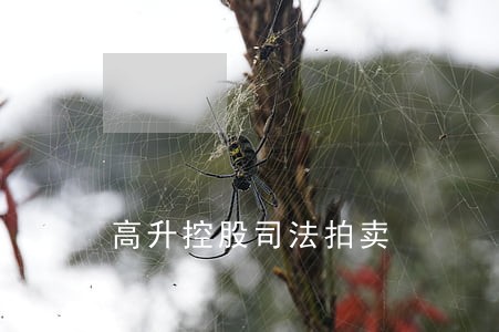 高升控股司法拍卖 高升控股司法拍卖