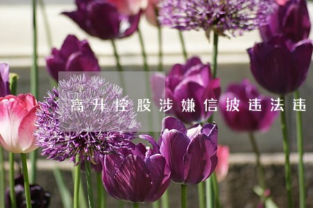 高升控股涉嫌信披违法违规 高升控股涉嫌信披违法违规