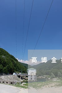 高博金律师 高博金律师