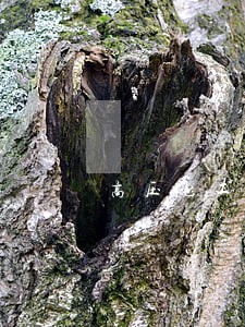 高压电工证挂在别人公司是否违法 高压电工证挂在别人公司是否违法
