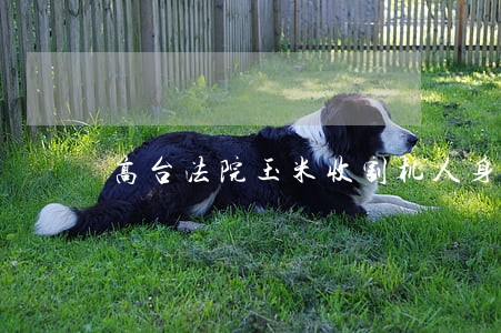 高台法院玉米收割机人身伤害判例 高台法院玉米收割机人身伤害判例