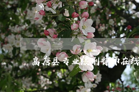 高唐县专业缓刑律师在线咨询 高唐县专业缓刑律师在线咨询