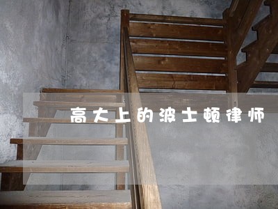 高大上的波士顿律师 高大上的波士顿律师